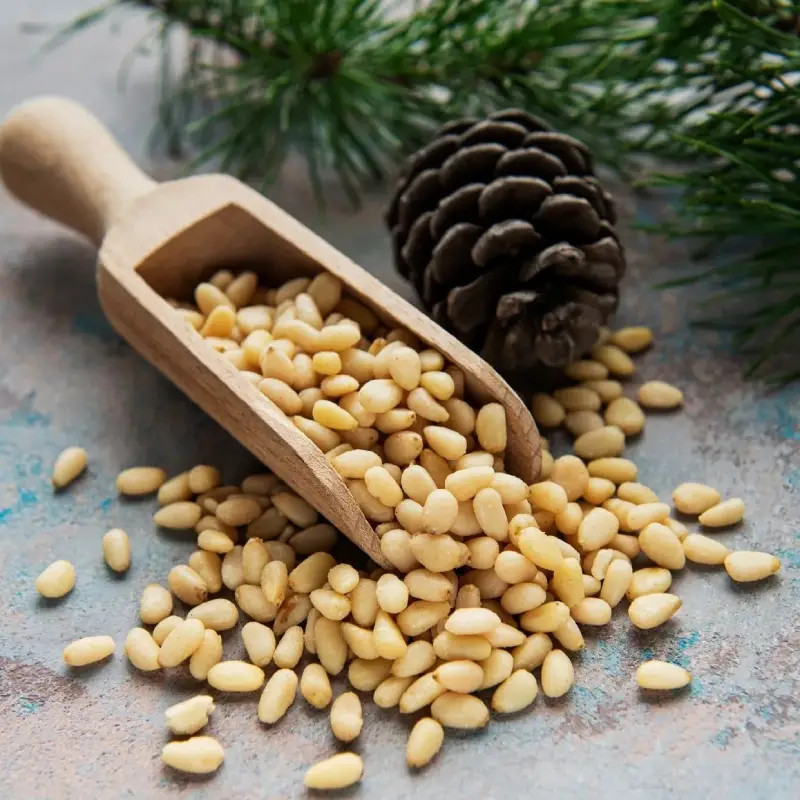 Pine Nut